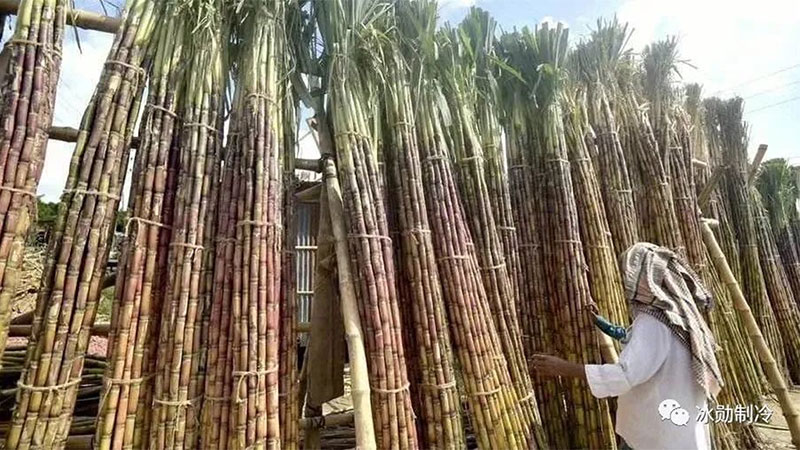 Thiết bị làm lạnh Icemedal