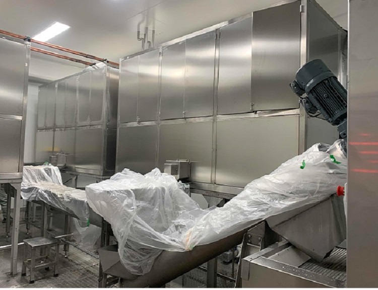 dây chuyền sản xuất đá ăn được