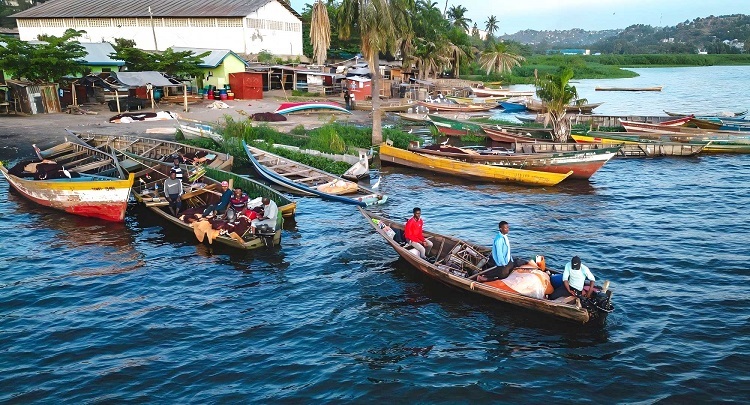 East Africa fishery development Sản xuất đá đáng tin cậy cho nghề cá