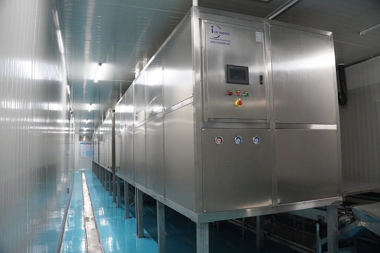 automatic edible ice plant Nhà máy băng tự động