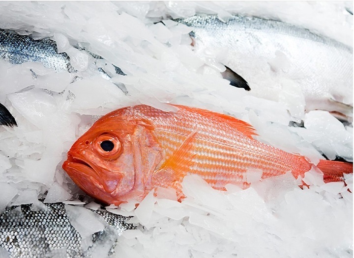 Ứng dụng của máy làm đá vảy trong chế biến sâu thủy sản