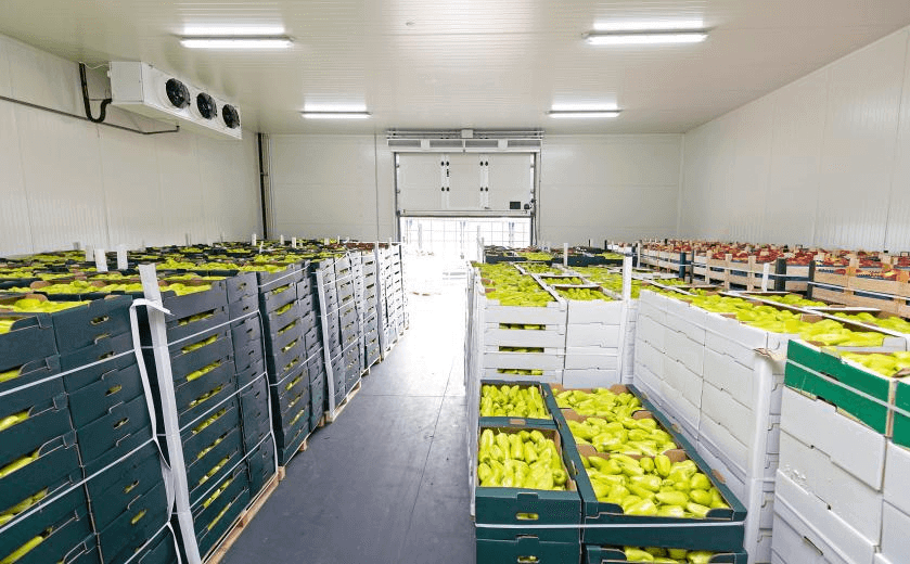 thùng bảo quản lạnh