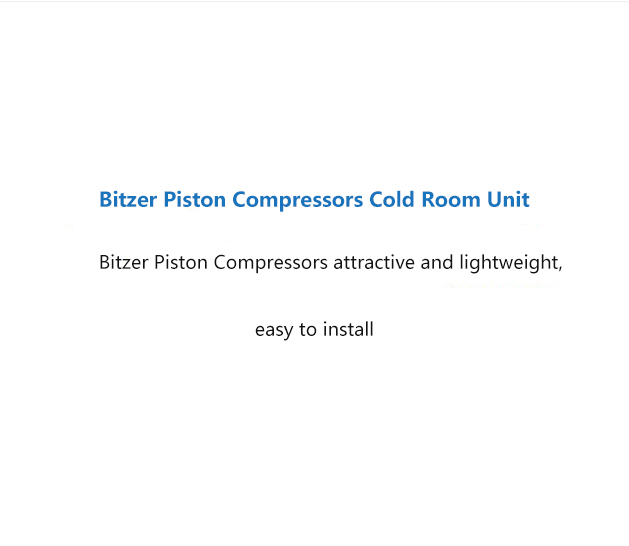 比泽尔活塞压缩机描述