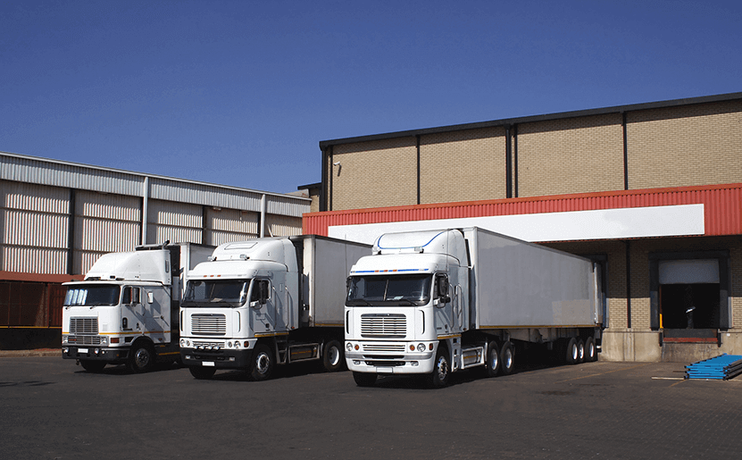 Kho lạnh bảo quản rau quả: Ứng dụng trong ngành Logistics chuỗi lạnh