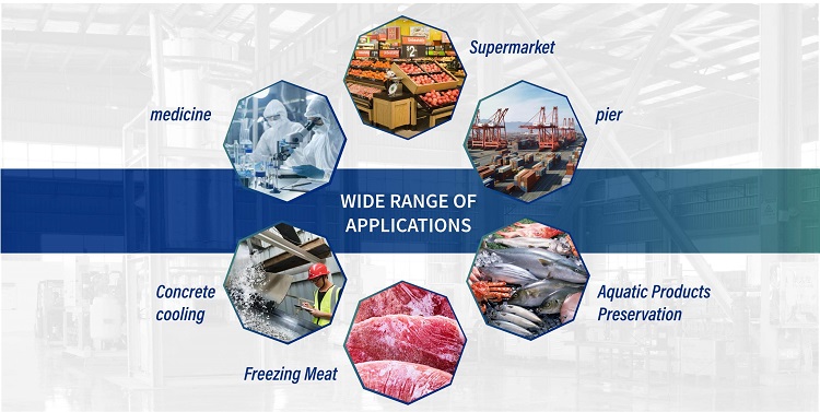 ứng dụng đ&aacute; vảy