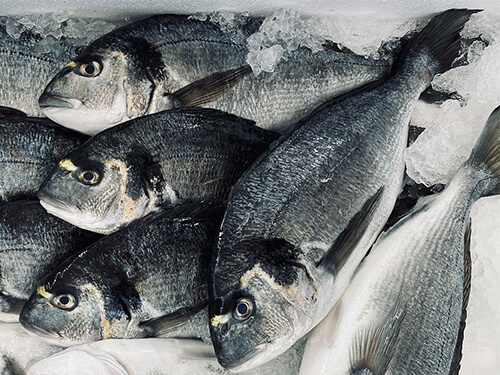 Ứng dụng băng cho nghề cá