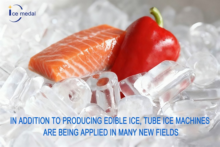 Ngoài việc sản xuất băng ăn được, máy đá ống đang được áp dụng trong nhiều lĩnh vực mới