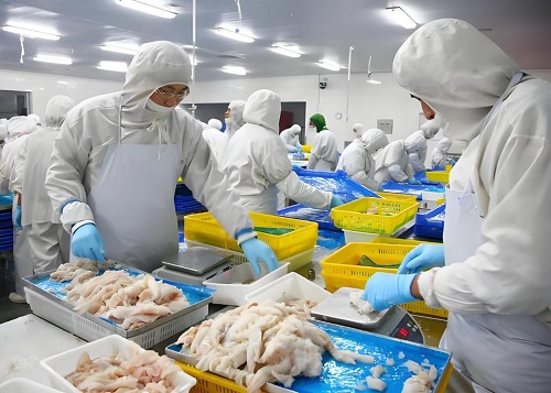 đ&aacute; ống cho nh&agrave; m&aacute;y chế biến thực phẩm