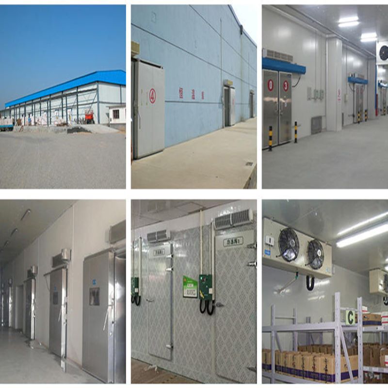 Nhiệt độ kho lạnh và cách tính công suất của nó