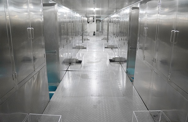 Nhà máy đá có thể ăn được 100 người