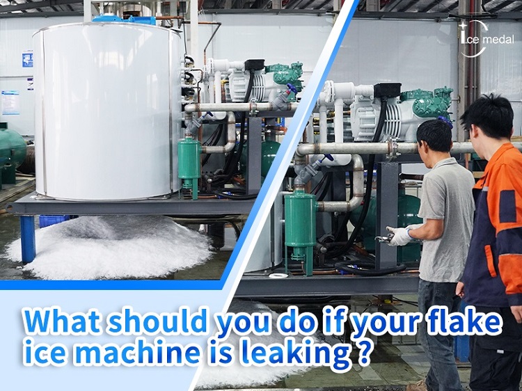 Bạn nên làm gì nếu máy băng Flake của bạn bị rò rỉ