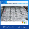 Dây chuyền sản xuất đá viên hoàn toàn tự động với hệ thống đóng gói cho nhà máy nước đá