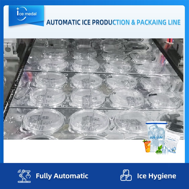 Dây chuyền sản xuất đá viên hoàn toàn tự động với hệ thống đóng gói cho nhà máy nước đá