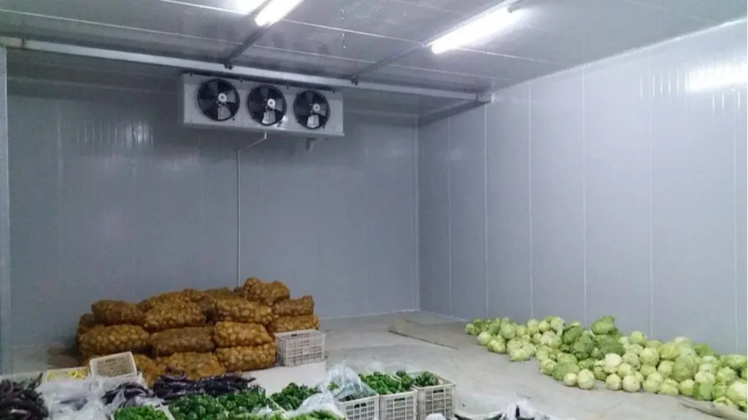 Tôi nên làm gì nếu những vấn đề này xảy ra trong kho lạnh?