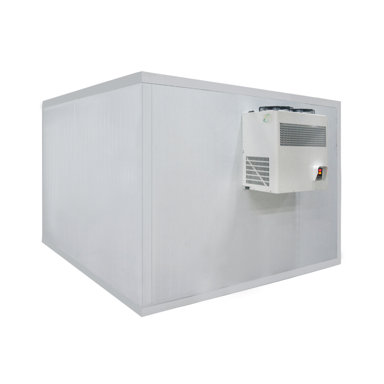 Icemedal Tùy chỉnh Tháo lắp dễ dàng Tủ đông và phòng lạnh Phòng cấp đông Kho lạnh Đơn vị làm lạnh phòng lạnh