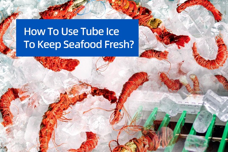Làm thế nào để sử dụng đá ống để giữ cho hải sản tươi mát?