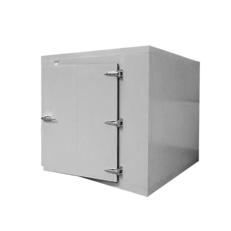 Icemedal Kích thước tùy chỉnh có sẵn Container Phòng lạnh với bảng điều khiển phòng lạnh cho thịt và cá Đi bộ trong tủ đông