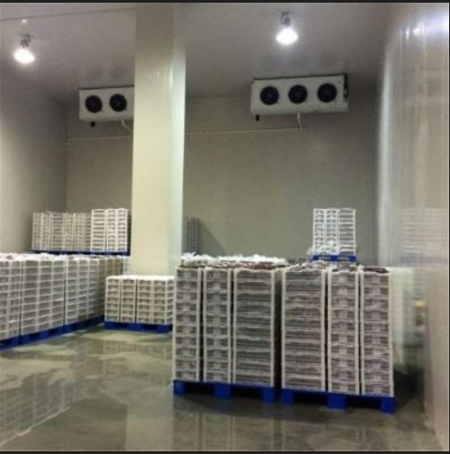 cốc đá bảo quản lạnh