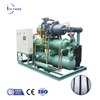 IMB20 20 tấn mỗi ngày máy băng khối nước muối tùy chỉnh công nghiệp