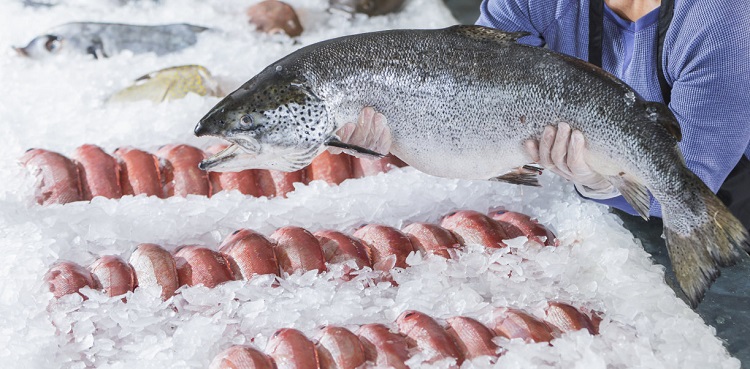 Băng băng để bảo quản hải sản